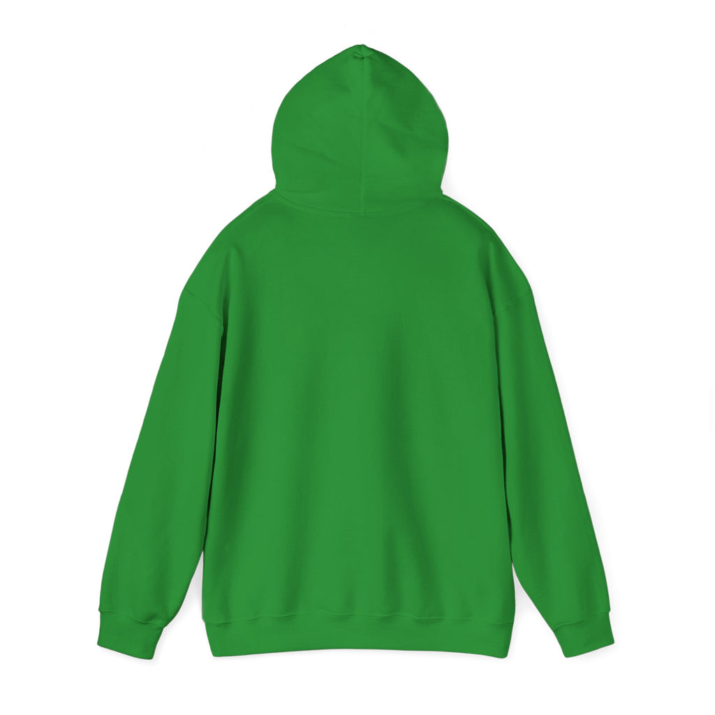 The Flawed Flock Co. Signature Christian Hoodie – Following the Shepherd – Colors